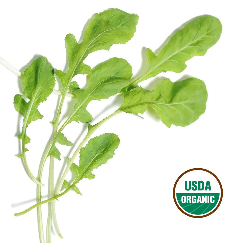 ARUGULA (STANDARD) GROWING GUIDE