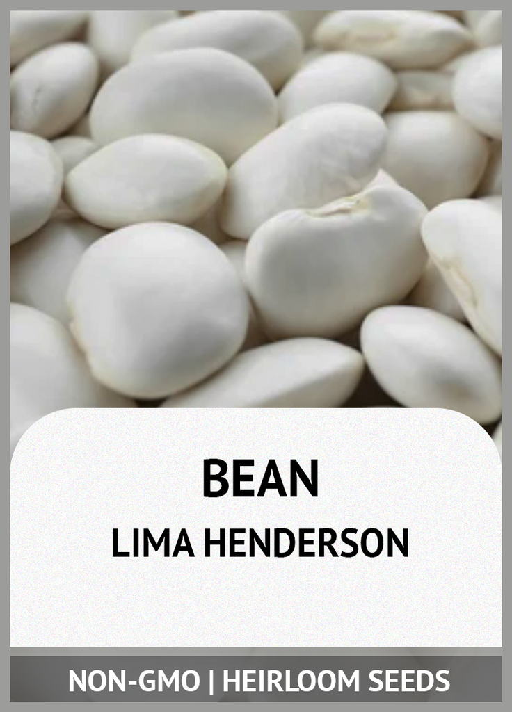 HENDERSON BUSH LIMA BEAN GROWING GUIDE