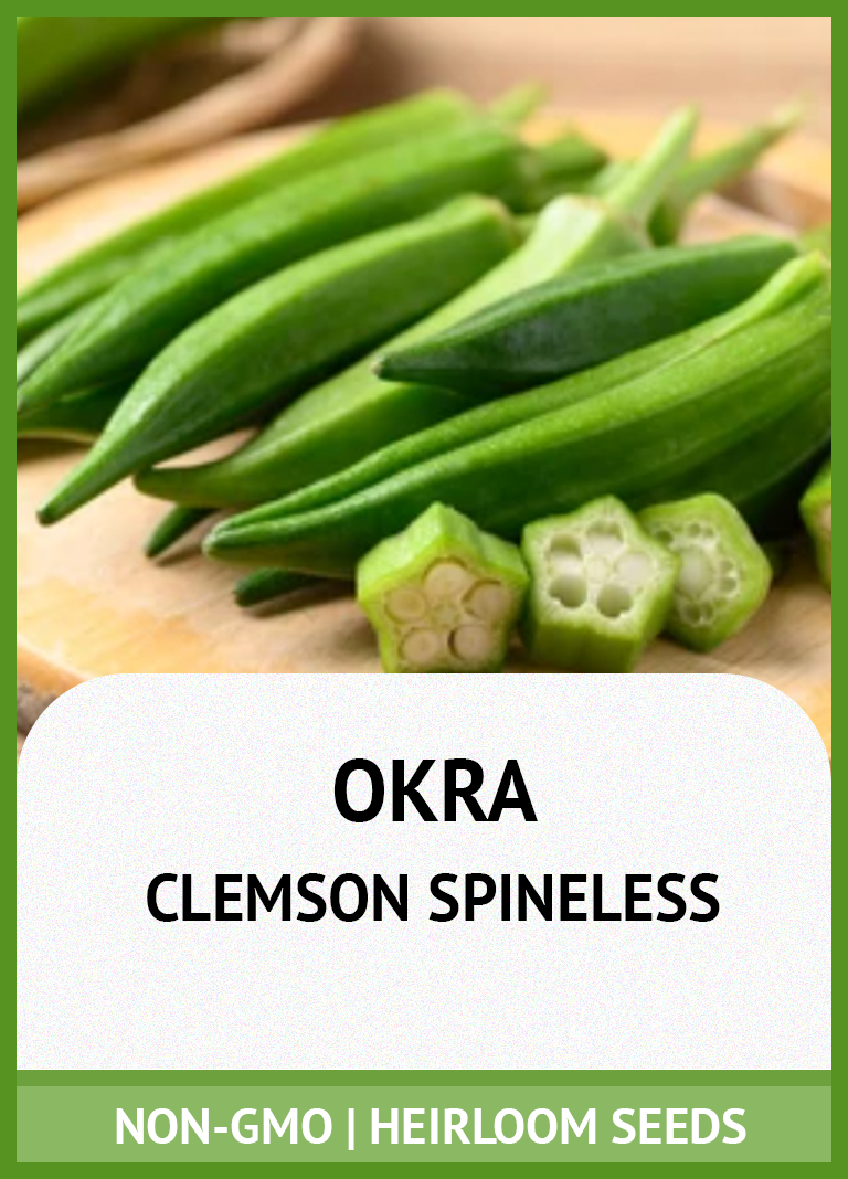 CLEMSON SPINELESS OKRA GROWING GUIDE