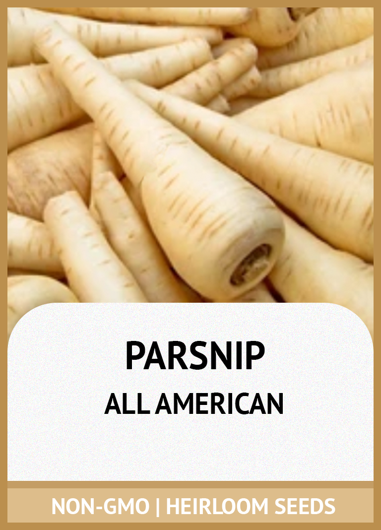 ALL AMERICAN PARSNIP GROWING GUIDE