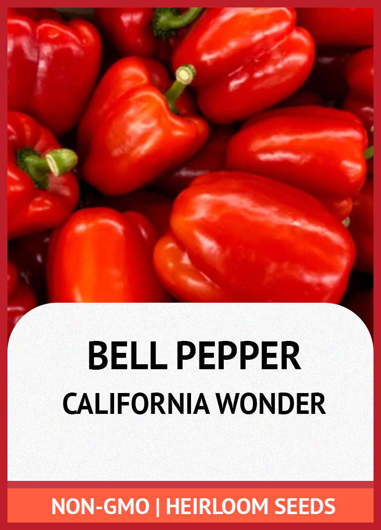 CALIFORNIA WONDER 300 SWEET PEPPER GROWING GUIDE