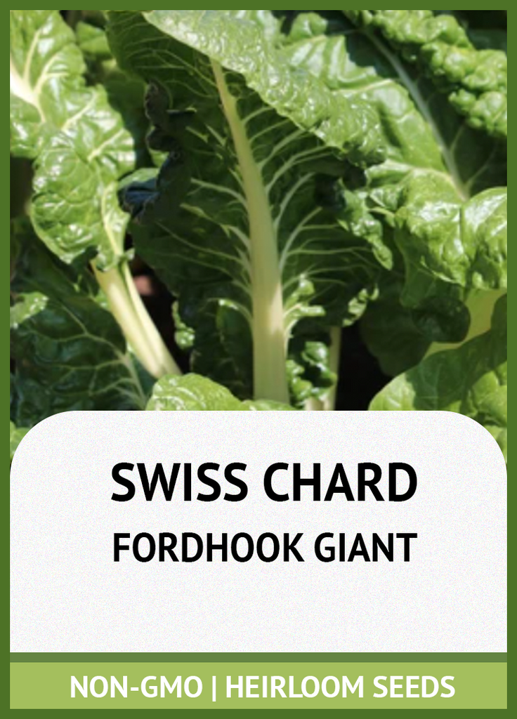 FORDHOOK GIANT SWISS CHARD GROWING GUIDE