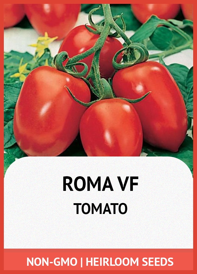 ROMA VF TOMATO GROWING GUIDE