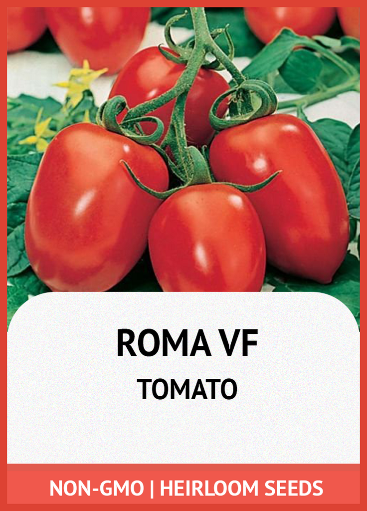 ROMA VF TOMATO GROWING GUIDE