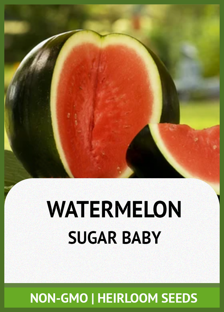 SUGAR BABY WATERMELON GROWING GUIDE