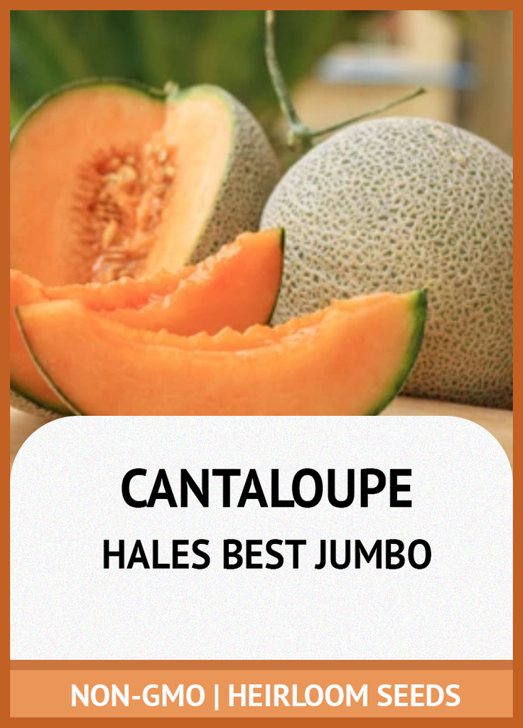 HALES BEST JUMBO MELON GROWING GUIDE