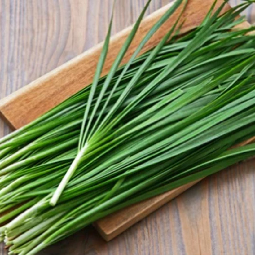 GARLIC CHIVES GROWING GUIDE