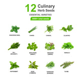 12 Essential Culinary Herb Seeds Collection - Basil, Chives, Chervil, Cilantro, Dill, Marjoram, Oregano, Parsley, Peppermint, Sage, Tarragon, Thyme