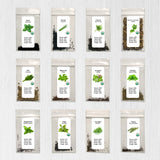 12 Essential Culinary Herb Seeds Collection - Basil, Chives, Chervil, Cilantro, Dill, Marjoram, Oregano, Parsley, Peppermint, Sage, Tarragon, Thyme