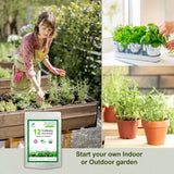 12 Essential Culinary Herb Seeds Collection - Basil, Chives, Chervil, Cilantro, Dill, Marjoram, Oregano, Parsley, Peppermint, Sage, Tarragon, Thyme