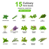 15 Essential Culinary Herb Seeds - Basil, Chives, Chervil, Cilantro, Dill, Fennel, Lavender, Marjoram, Oregano, Parsley, Sage, Tarragon, Thyme