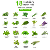 18 Culinary Herb Seeds Collection - 7000+ Heirloom, Non-GMO and Open-Pollinated Seeds, Garden Gift, Perfect for Delicious Cooking