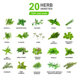 20 Culinary Herb Seeds Collection - 7200+ Heirloom, Non-GMO and Open-Pollinated Seeds, Garden Gift, Perfect for Delicious Cooking